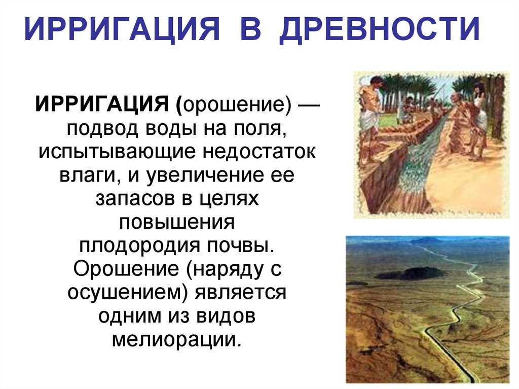 Орошаемые земли: понятие и особенности обработки почвы :: businessman.ru