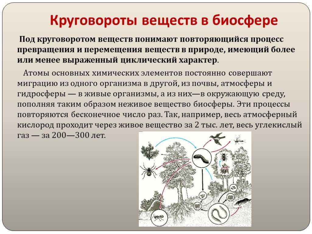 Урок 7: биосфера - 100urokov.ru