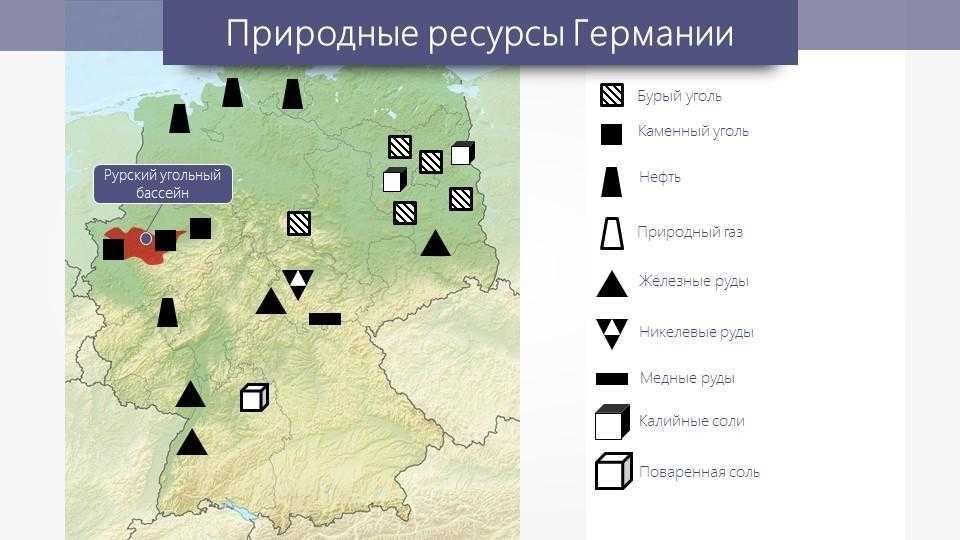 География германии: природные особенности, растительный и животный мир