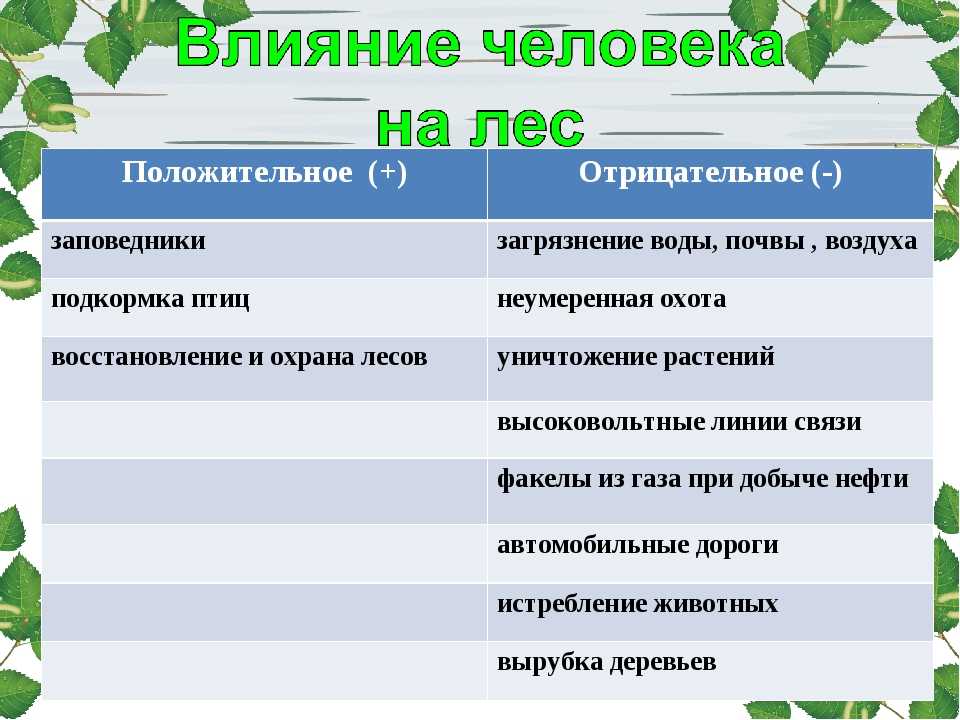 Проблема экологии 🌍8 современных мировых опасностей